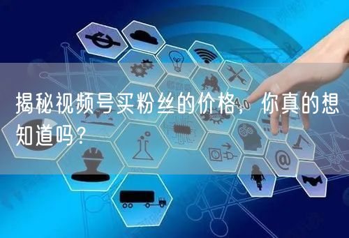 揭秘视频号买粉丝的价格，你真的想知道吗？