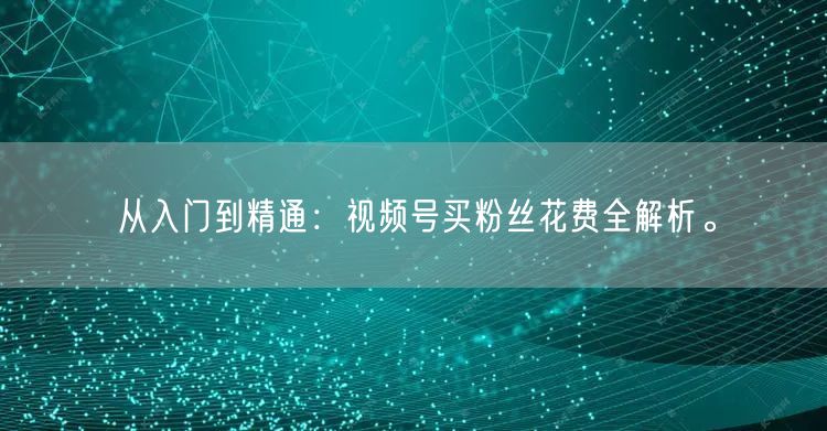 从入门到精通：视频号买粉丝花费全解析。