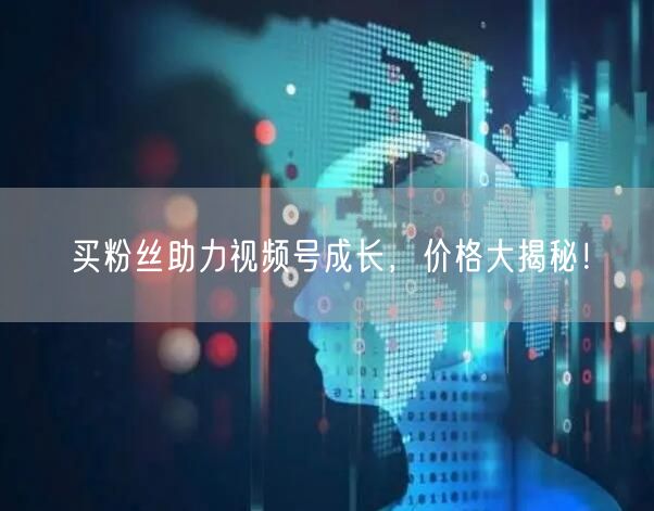 买粉丝助力视频号成长，价格大揭秘！