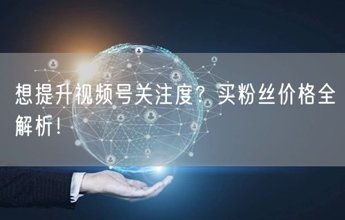 想提升视频号关注度？买粉丝价格全解析！