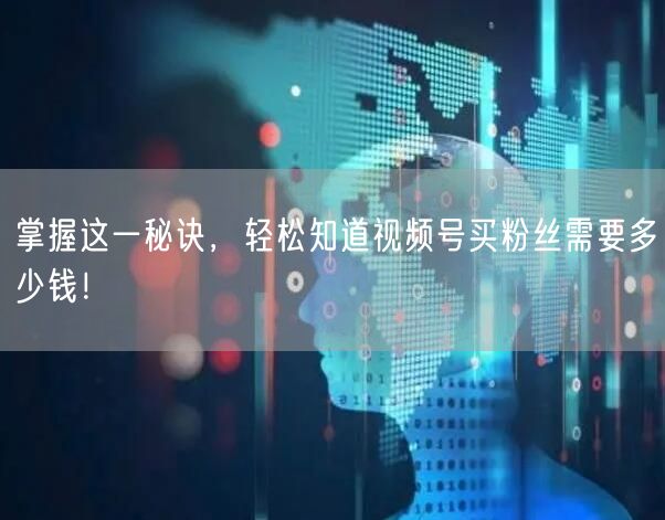掌握这一秘诀，轻松知道视频号买粉丝需要多少钱！