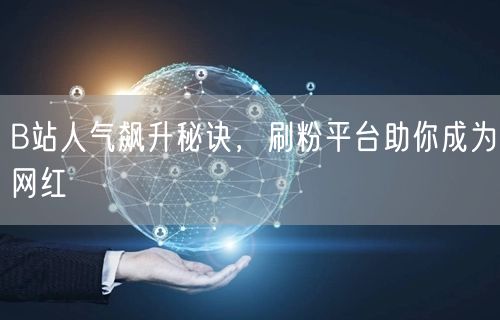 B站人气飙升秘诀，刷粉平台助你成为网红