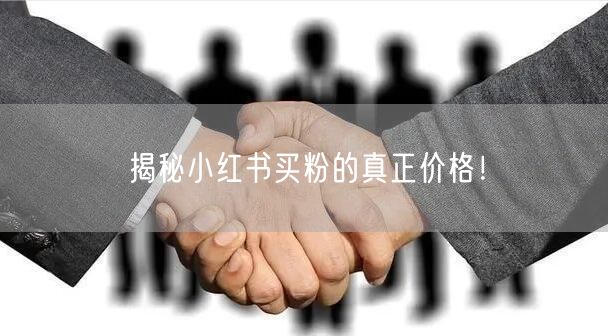 揭秘小红书买粉的真正价格！