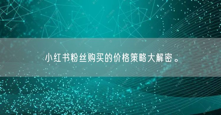 小红书粉丝购买的价格策略大解密。