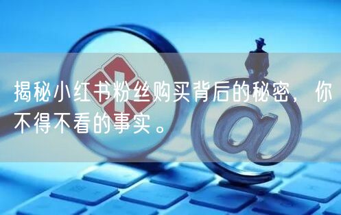 揭秘小红书粉丝购买背后的秘密，你不得不看的事实。