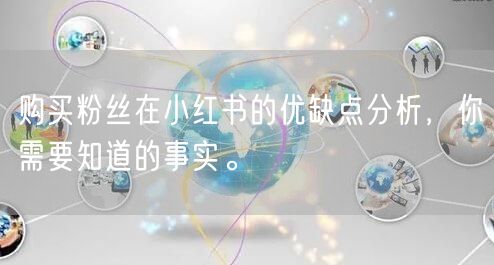 购买粉丝在小红书的优缺点分析，你需要知道的事实。