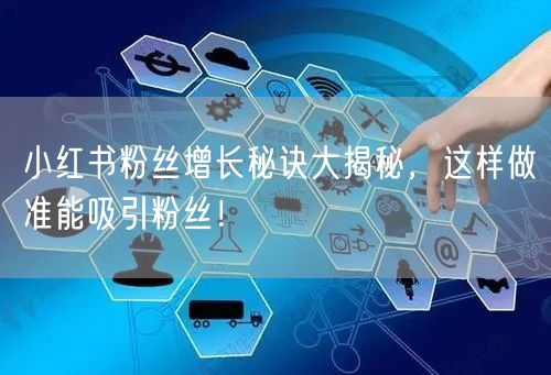 小红书粉丝增长秘诀大揭秘，这样做准能吸引粉丝！