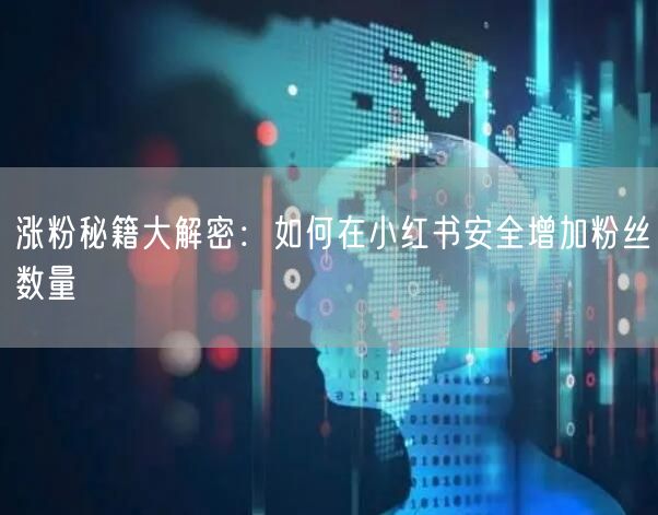 涨粉秘籍大解密：如何在小红书安全增加粉丝数量