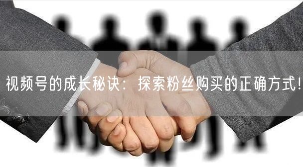 视频号的成长秘诀：探索粉丝购买的正确方式！