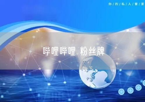 哔哩哔哩 粉丝牌