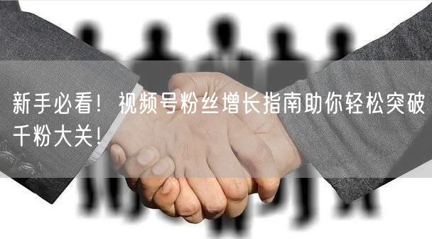 新手必看！视频号粉丝增长指南助你轻松突破千粉大关！