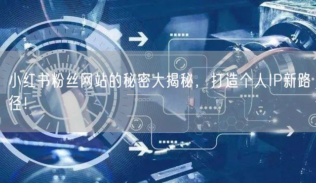 小红书粉丝网站的秘密大揭秘，打造个人IP新路径！