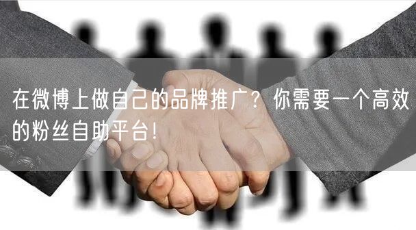 在微博上做自己的品牌推广？你需要一个高效的粉丝自助平台！