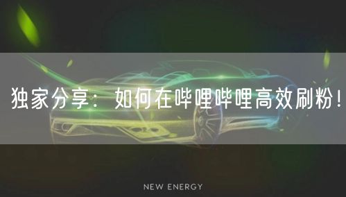 独家分享：如何在哔哩哔哩高效刷粉！