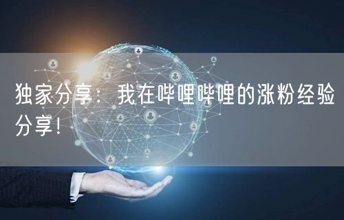 独家分享：我在哔哩哔哩的涨粉经验分享！