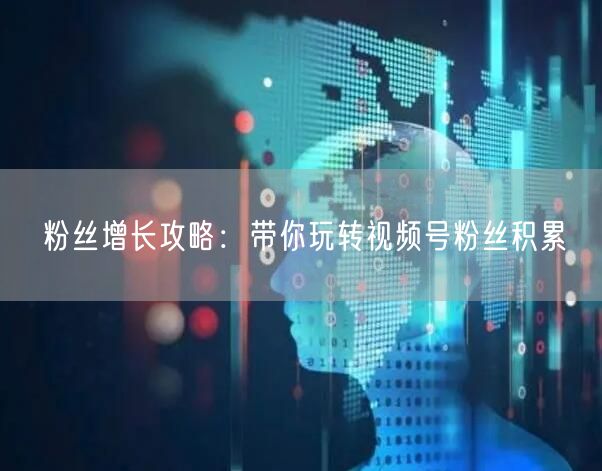 粉丝增长攻略：带你玩转视频号粉丝积累
