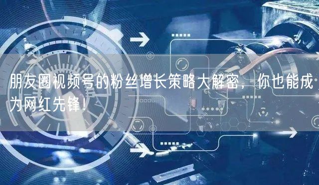 朋友圈视频号的粉丝增长策略大解密，你也能成为网红先锋！