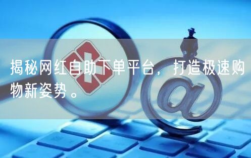 揭秘网红自助下单平台，打造极速购物新姿势。