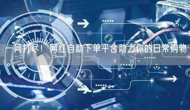 一网打尽！网红自助下单平台助力你的日常购物。