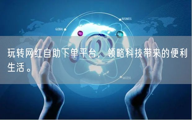 玩转网红自助下单平台，领略科技带来的便利生活。